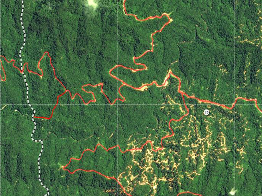 QUẢN LÝ TÀI NGUYÊN RỪNG  FOREST RESOURCES MANAGEMENT